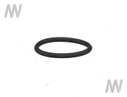 O-Ring - More 2