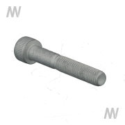 Allen screw M8 x 1.25 x 50 8.8 - More 2