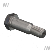 Spezialschraube - More 2