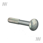 Carriage bolt - More 2
