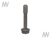 Connecting rod screw D series - More 2