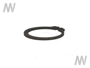 Retaining ring - More 2