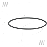 O-ring - More 2