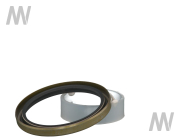 Shaft seal ring - More 2