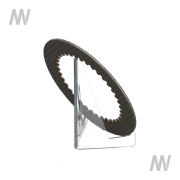 Lamellar disk - More 2