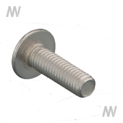 Hexagon socket screw - More 2