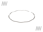 Federscheibe IØ=148,35mm - More 2