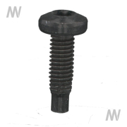 Spezialschraube m. Zapfen - More 2