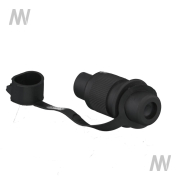 Stecker 3 Polig - More 2
