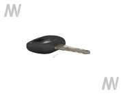 Zuendschluessel  (Steyr Logo) - More 2