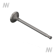 Einlassventil D-Serie -Gold Value- - More 2