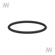 O-Ring - More 2