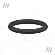 O-Ring - More 2