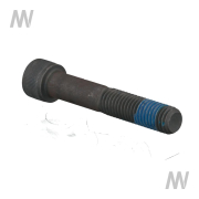 Allen screw M12x70 12.9 - More 2