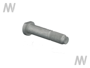 Radbolzen f. Stabachse Maxxum/Puma - More 2