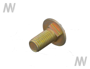 Carriage bolt - More 2