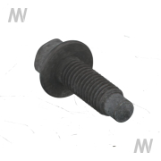 Spezialschraube - More 2