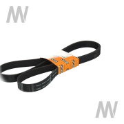 Rillenriemen 8PK-1855 - More 2
