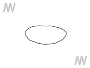 O-Ring - More 2