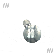 Schraube - More 2