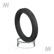 Radial Wellendichtring - More 2