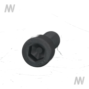 2heese head screw M10x30 12.9 - More 2