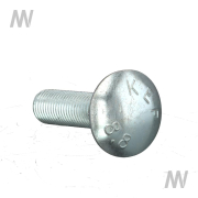 Flachrundschraube M16x60 8.8 vz. - More 2