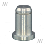 Bolzen 31-1 mm - More 2