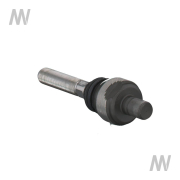 Axialgelenk mit M55 Aussengewinde - More 2