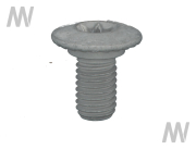 Torx screw - More 2