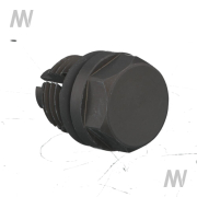 Plug - More 2