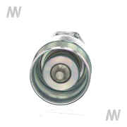 Schraubkupplungs- Stecker KL (G3/4") IR DN25-BG6 - More 3