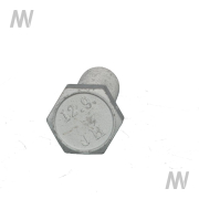 Schraube M18x60 - More 3