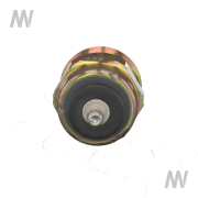 Abschaltmagnet Einspritzpumpe - More 3