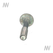 Carriage bolt - More 3