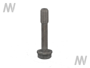 Connecting rod screw D series - More 3