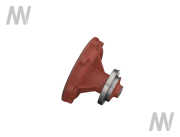Case IH Wasserpumpe - More 3