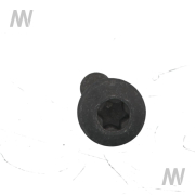 Torxschraube - More 3