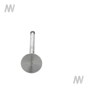 Einlassventil D-Serie -Gold Value- - More 3