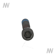 Allen screw M12x70 12.9 - More 3