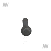 BOLT - More 3