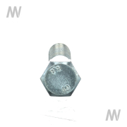 Skt-Schr. M16x1.50x70 8.8 Zngb - More 3
