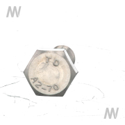 Schraube V2A - More 3