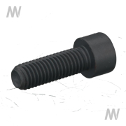 2heese head screw M10x30 12.9 - More 3