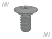 Torx screw - More 3