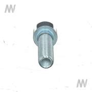 Scr. M10x45 D912 8 galv. - More 3