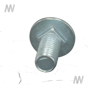 Flachrundschraube - More 3