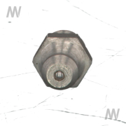 Grease nipple AM8X1/RVS - More 3