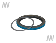 Dichtsatz Kassettenwellendichtring Vorderachse - More 4