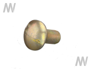 Carriage bolt - More 4